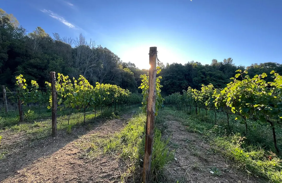 Agriturismo Tenuta Il Molino-1