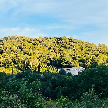 Agriturismo Tenuta Il Molino-2